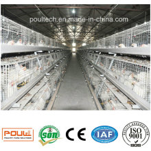 Automatic Broiler Cage System Poultry Farm